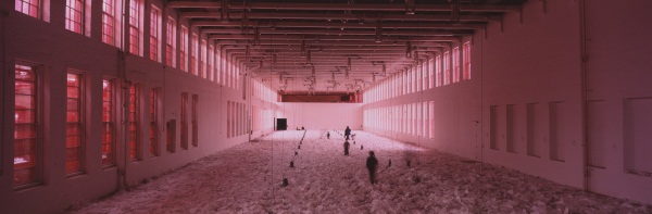 Ann Hamilton, Corpus, 2004.