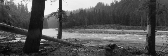 Frank Gohlke, Confluence of Pine Creek and Lewis River, thirteen miles southeast of Mount St. Helens, Washington, 1982. Collection of the Amon Carter Museum of American Art, Fort Worth.