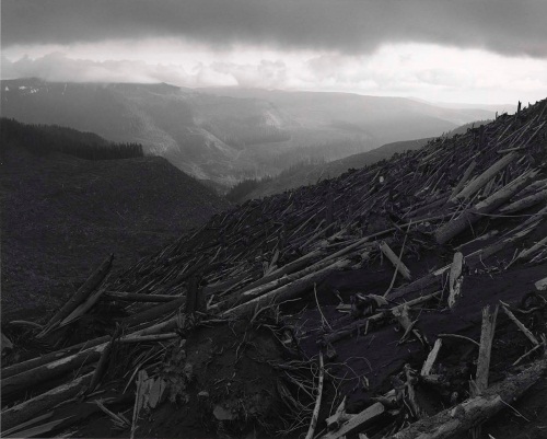 Frank Gohlke, Looking SW across Blowdown toward Valley of South Toutle River, 8 miles NW of Mount St. Helens, Washington, 1982. Collection of the Smithsonian American Art Museum.