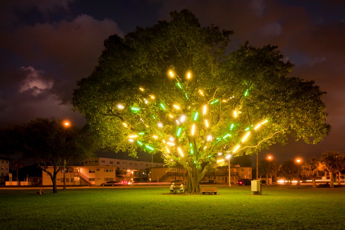 Mark Handforth, Electric Tree, 1998-2011.