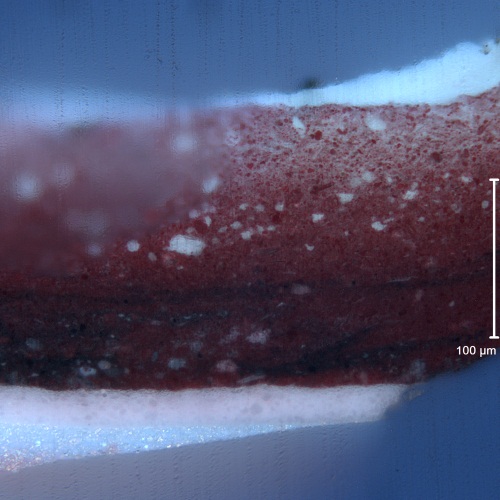 Jackson Pollock, Mural (detail), 1943. Paint sample via Getty Conservation Institute. Same sample as in previous image, as viewed under ultraviolet fluorescenceconditions, which reveals the zinc white ground, transparent colorless extender particles in the red, and (uppermost) a layer of varnish.