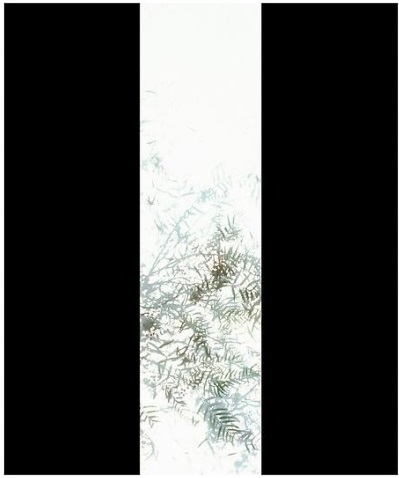 Luisa Lambri, Untitled (Schindler House, #01), 2007.