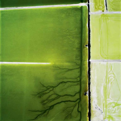 David Maisel, Terminal Mirage 19, 2003.