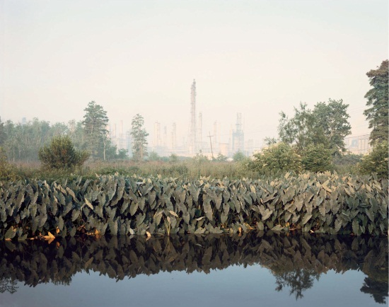 Richard Misrach, Roadside Vegetation and Orion Refining Corporation, Good Hope, Louisiana, 1998.