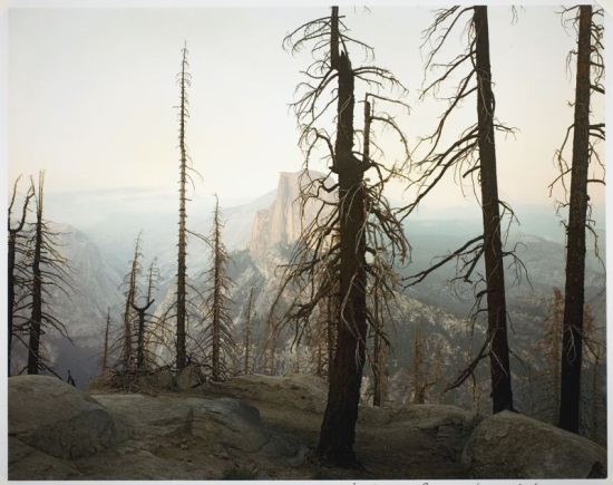 Richard Misrach, Burnt Forest and Half Dome, Yosemite, 1988. Collection of the Art Institute of Chicago.