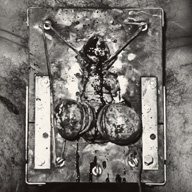 Robert Mapplethorpe, Dick, N.Y.C., 1978.