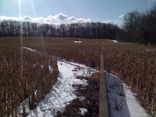 Richard Serra, Shift, 1970-72. Image via Flickr user Spacing Magazine.