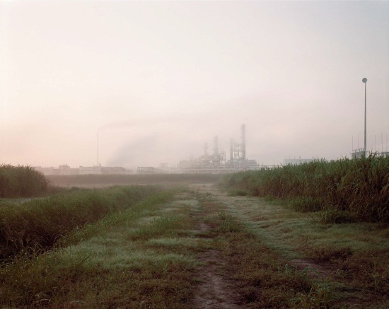 Richard Misrach, Sugar Cane and Refinery, Mississippi River Corridor, 1998.
