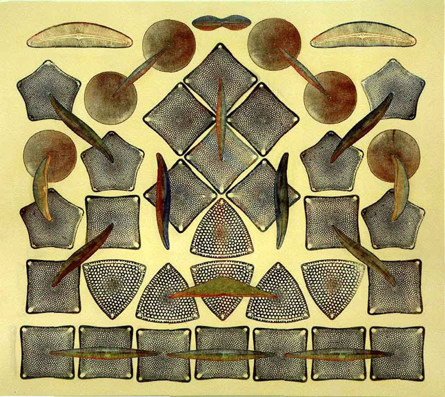 Philip Taaffe, Diadem, 1999.