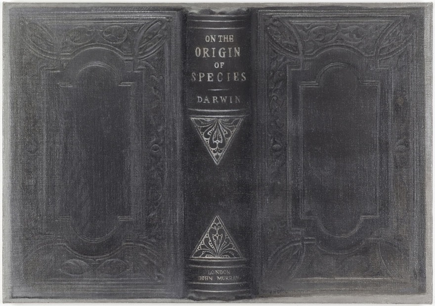 Vija Celmins, Darwin, 2008.