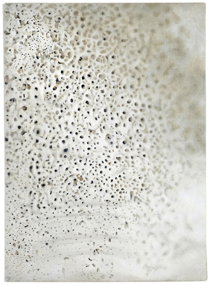 Vija Celmins, Shell, 2009-10.