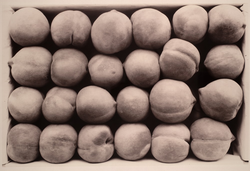 Carleton Watkins, Late George Cling Peaches, ca. 1889. Collections of the Museum of Modern Art, New York, The Huntington Library, Art Collections and Botanical Gardens, San Marino, Calif.