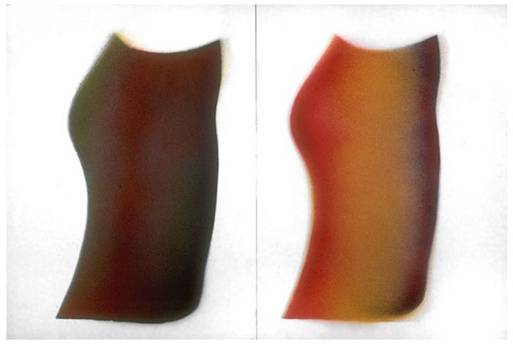 Michael Snow, Two Skirts, 1964. Collection of the National Gallery of Canada, Ottawa.