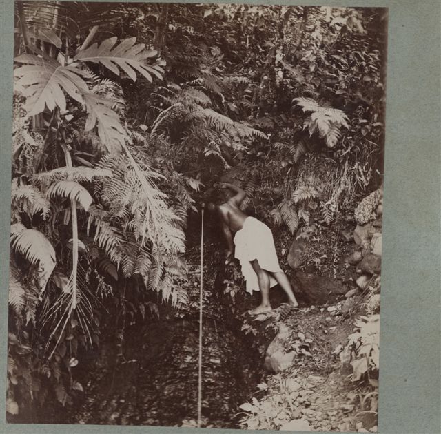 Anonymous, Rock Spring in the Samoan Islands, by 1887. Collection of the Mitchell Library at the State Library of New South Wales.