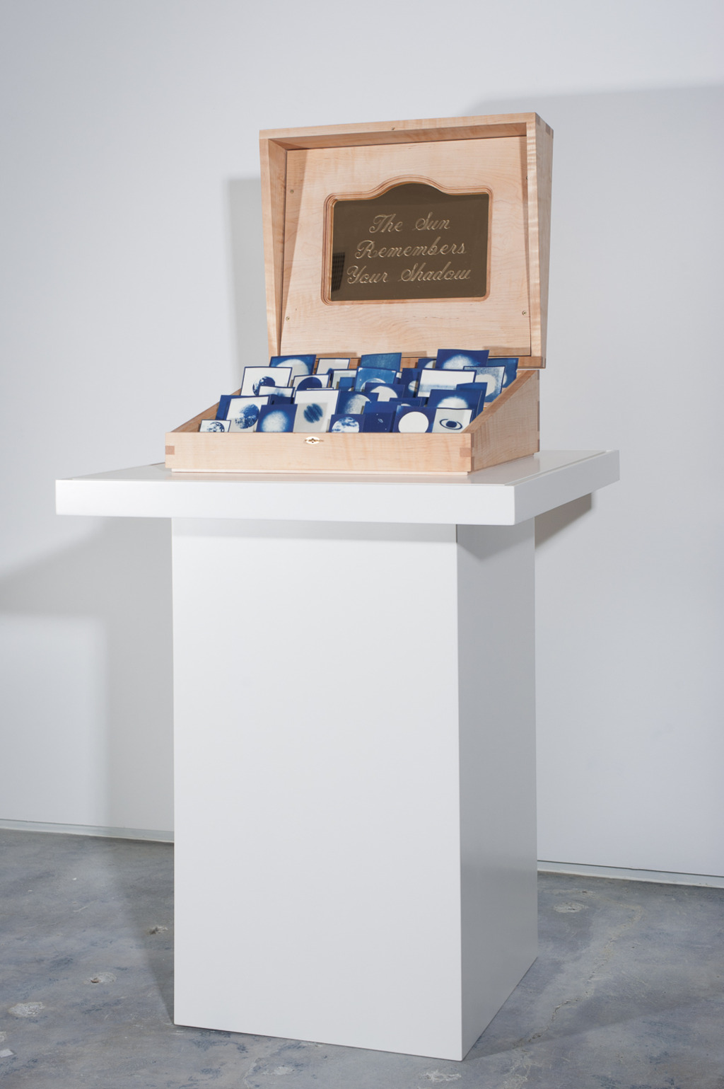 Dario Robleto, The Sun Remembers Your Shadow, 2012.