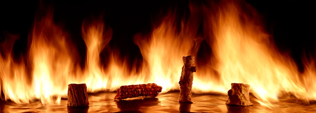 Catherine Opie, Stump fire #4, 2012.