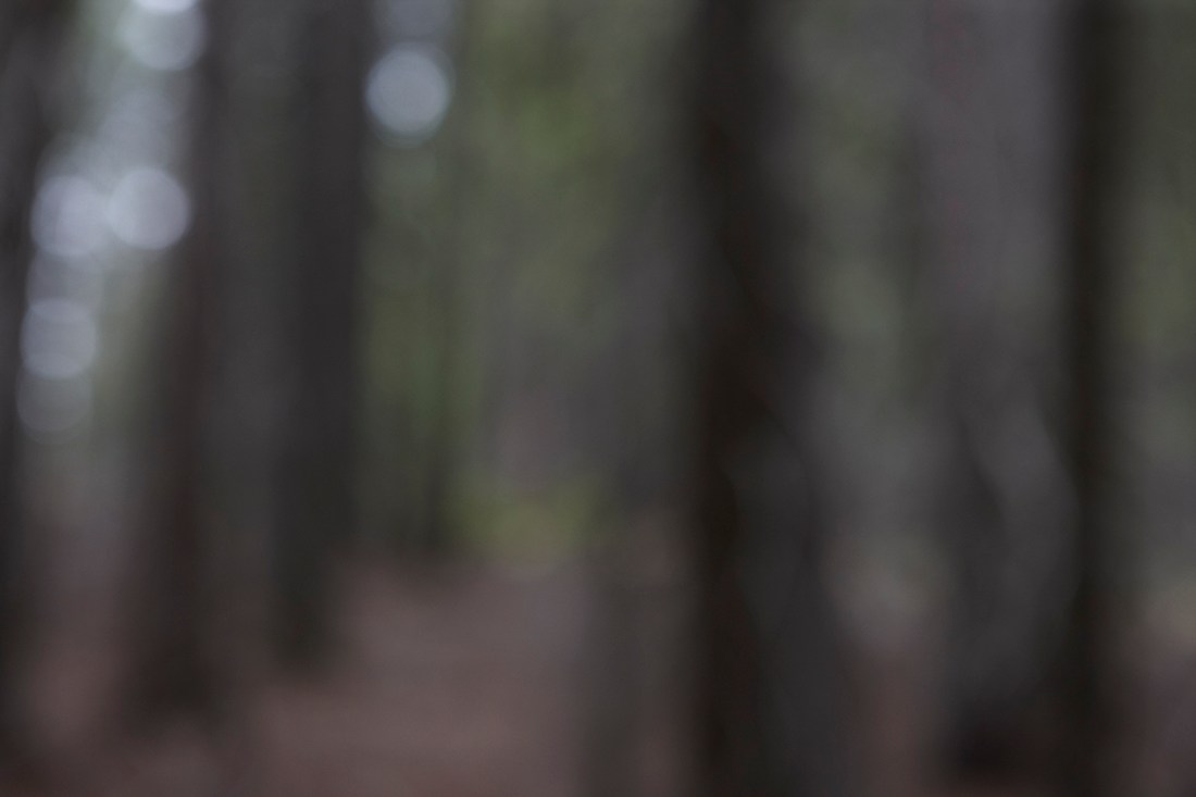 Catherine Opie, Untitled #2, 2012.