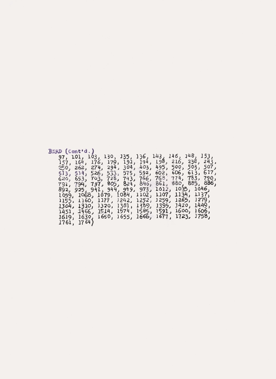 Frances Stark, Bees, Birds (detail), 1996.