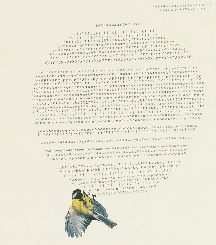 Frances Stark, Unfortunately... (detail), 2002.