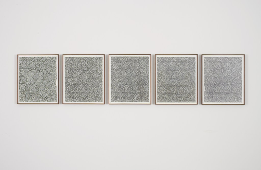 Lisa Oppenheim, Leisure Work (Version II), 2012.