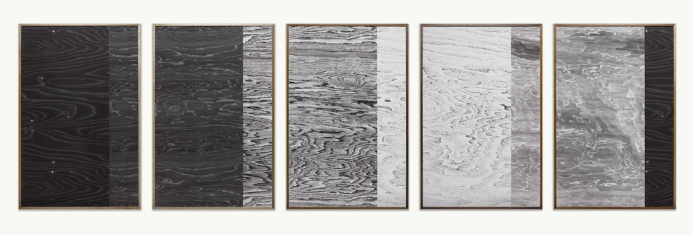 Lisa Oppenheim, Landscape Portraits (Some North American Trees), 2014.