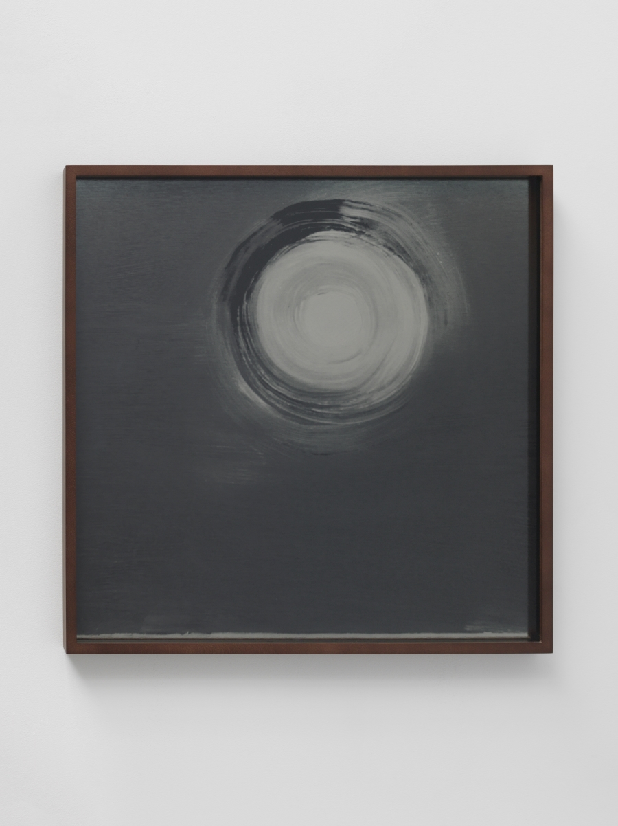 Lisa Oppenheim, Lunagrams (Ann Craven) 08, 2015.