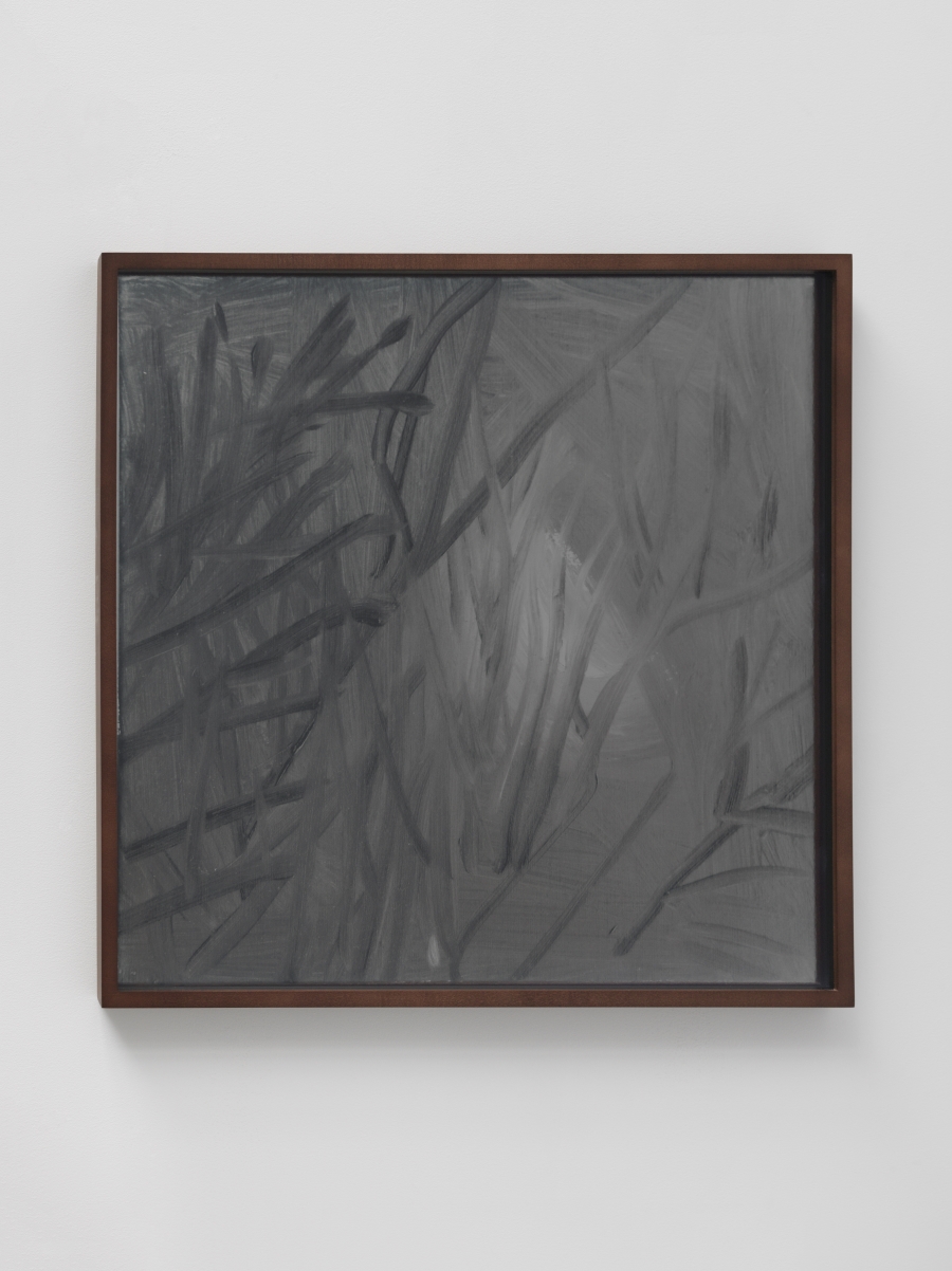 Lisa Oppenheim, Lunagrams (Ann Craven) 10, 2015.