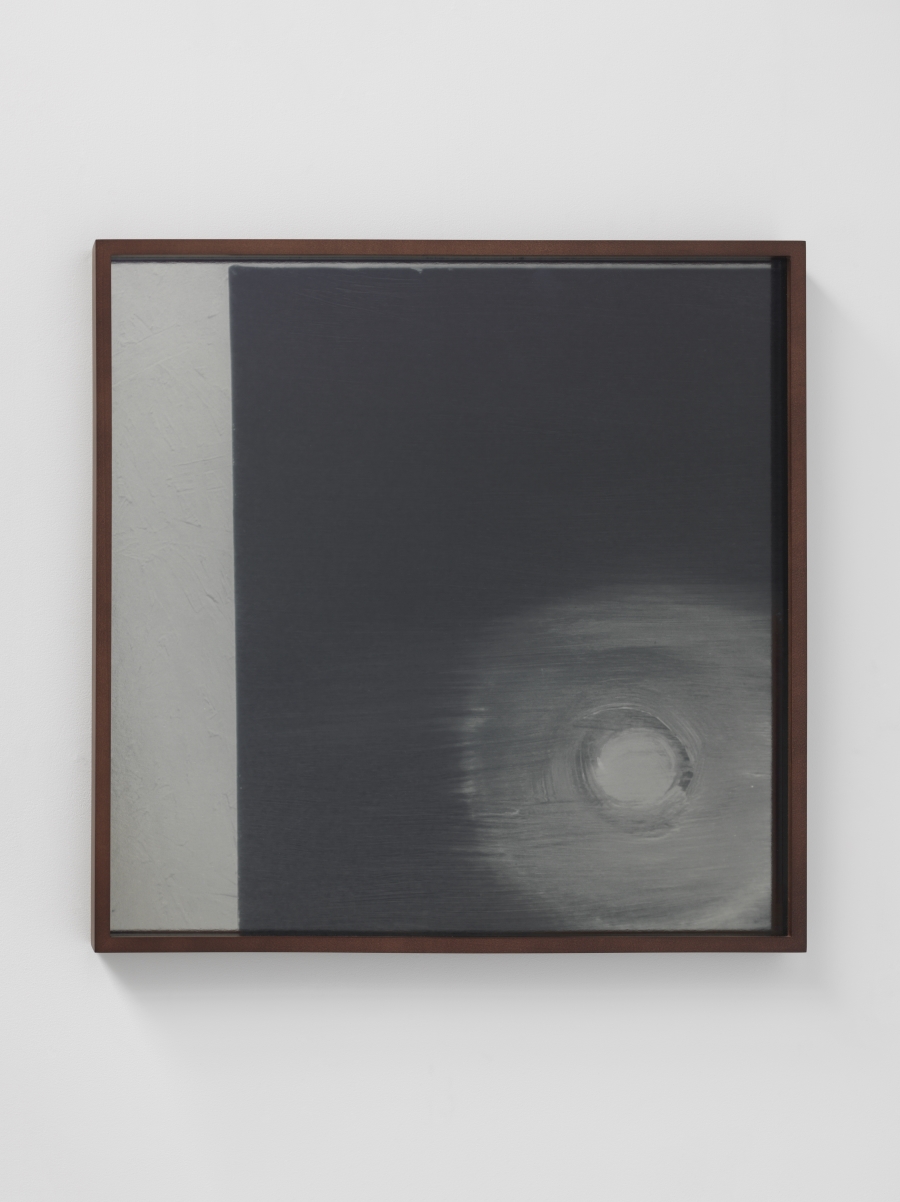 Lisa Oppenheim, Lunagrams (Ann Craven) 17, 2015.