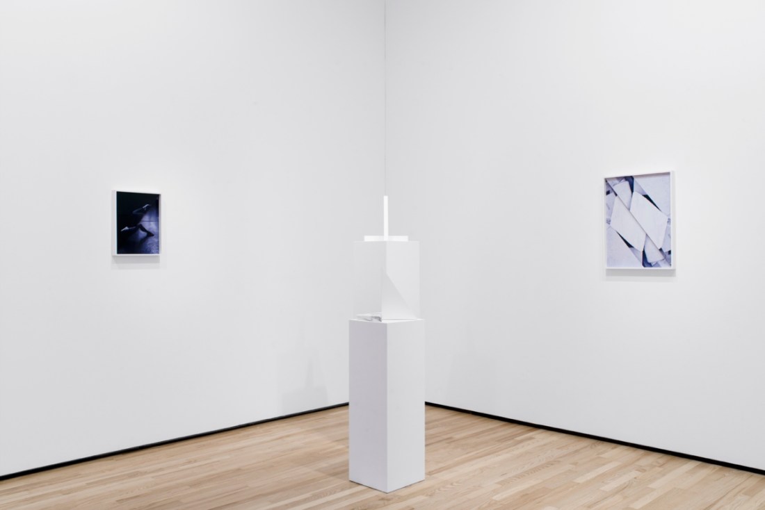 Sara VanDerBeek, installation at the Baltimore Museum of Art, 2015.