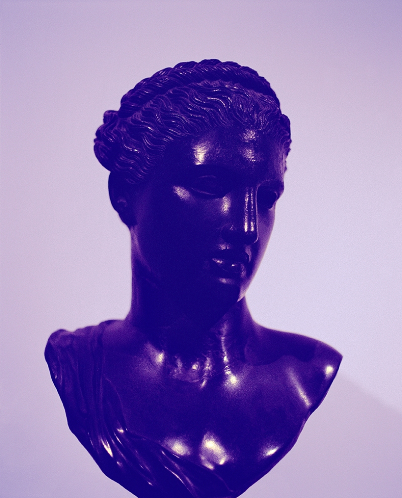 Sara VanDerBeek, Roman Woman VIII, 2013.