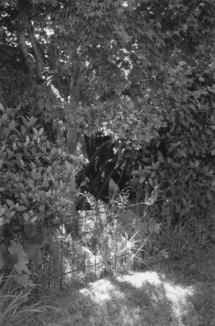 Robert Adams, Around the House, 2014. © Robert Adams, courtesy Fraenkel Gallery, San Francisco.