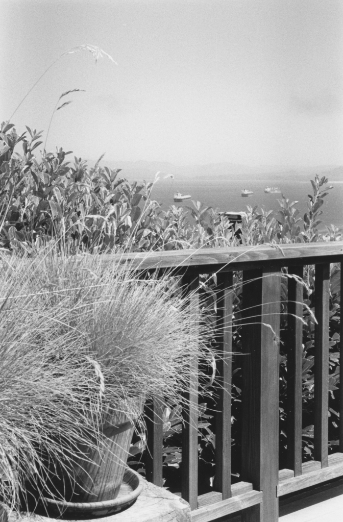 Robert Adams, Around the House, 2014. © Robert Adams, courtesy Fraenkel Gallery, San Francisco.