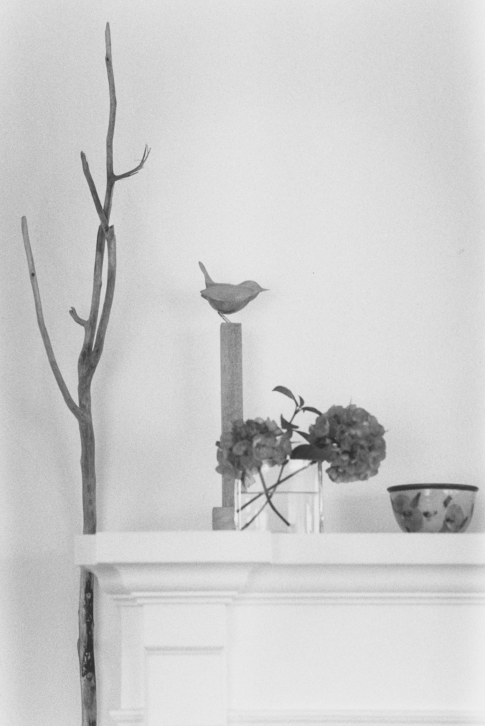 Robert Adams, Around the House, 2014. © Robert Adams, courtesy Fraenkel Gallery, San Francisco.