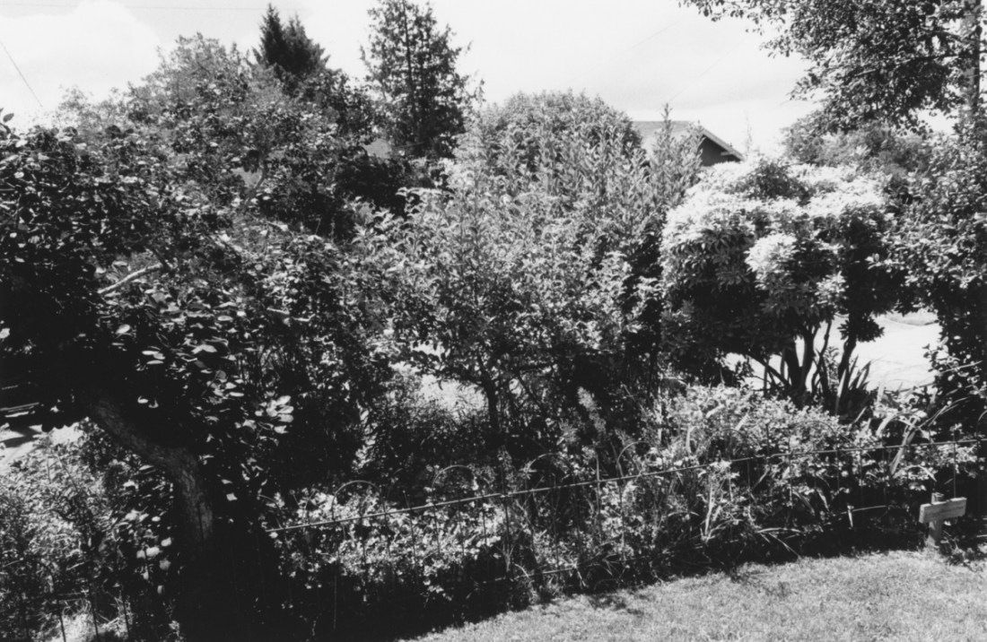 Robert Adams, Around the House, 2015. © Robert Adams, courtesy Fraenkel Gallery, San Francisco.