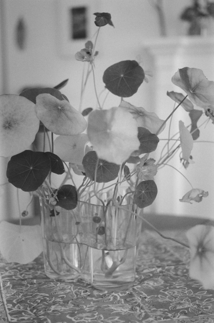 Robert Adams, Around the House, 2014. © Robert Adams, courtesy Fraenkel Gallery, San Francisco.