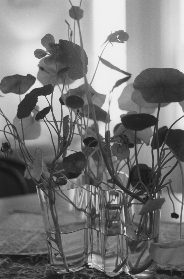 Robert Adams, Around the House, 2014. © Robert Adams, courtesy Fraenkel Gallery, San Francisco.