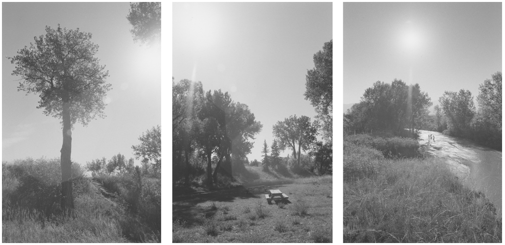 Robert Adams, Untitled from Listening to the River, 1994.