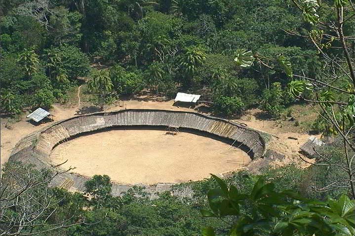 Wolfgang Staehle, Yano a, 2003.