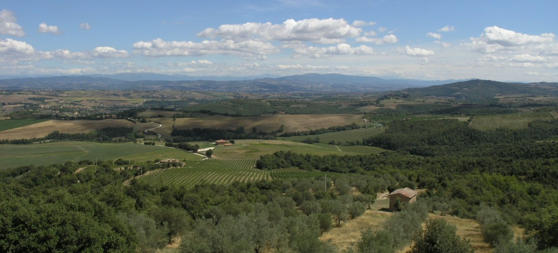 Wolfgang Staehle, Umbria, 2006.