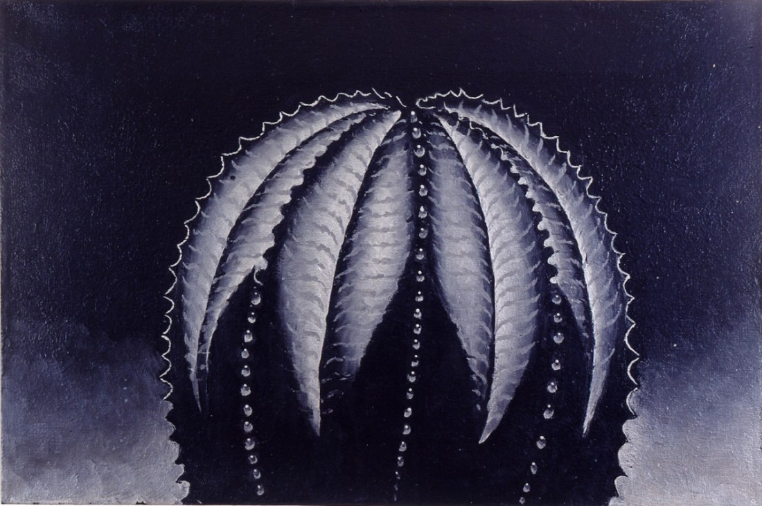 Martin Wong, Euphorbia Obesa, 1997-98.