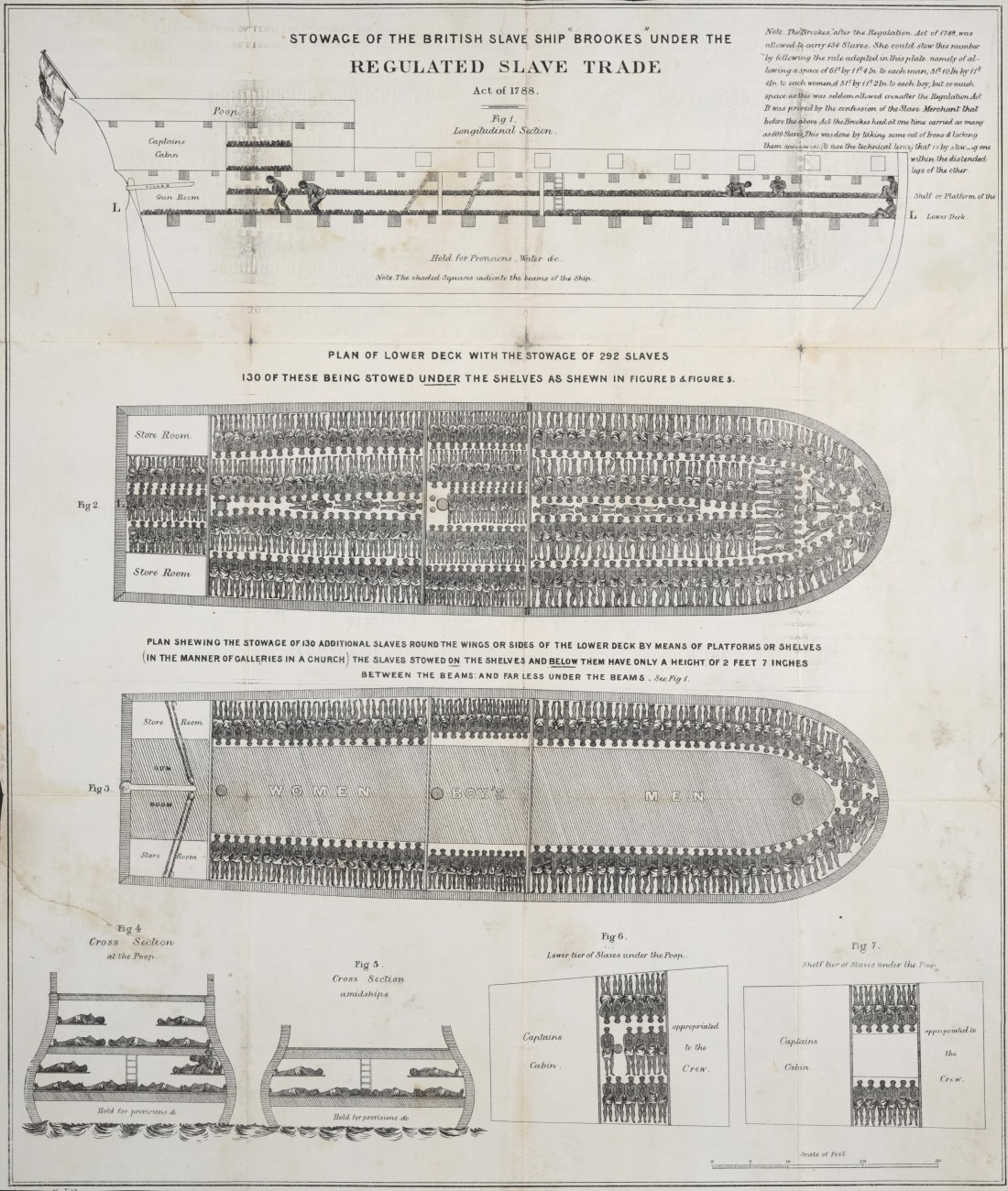 Brookes slave ship plan, 1788. 