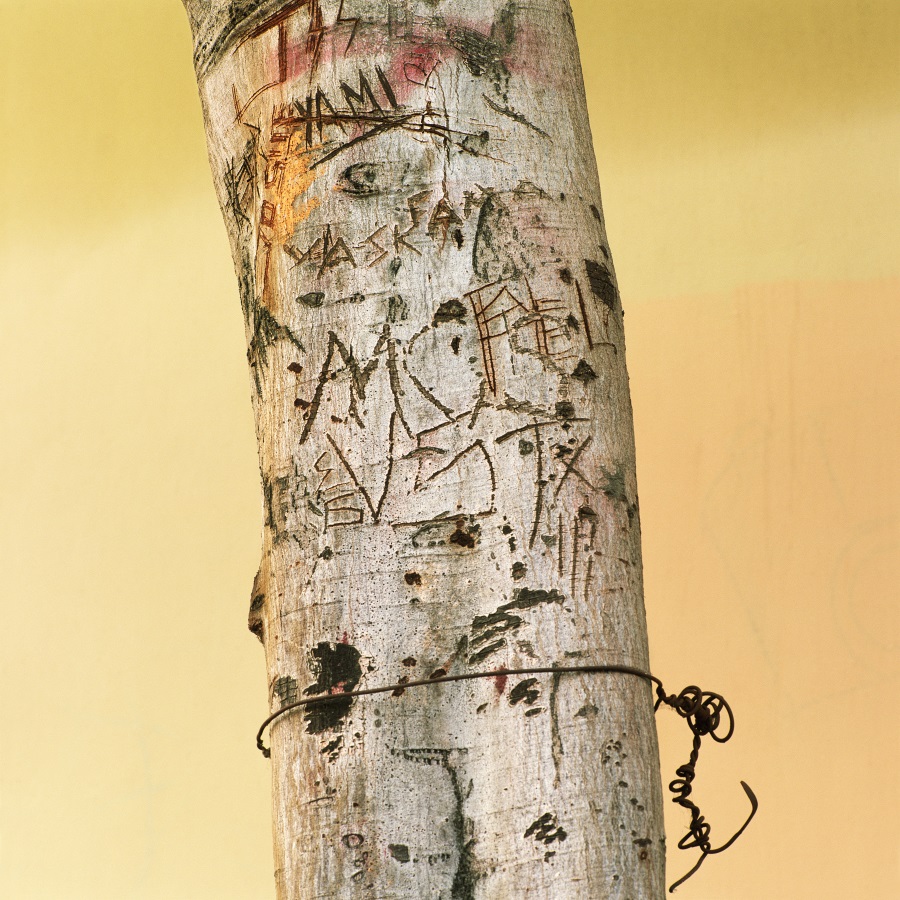 Anthony Hernandez, Forever #58, 2000.