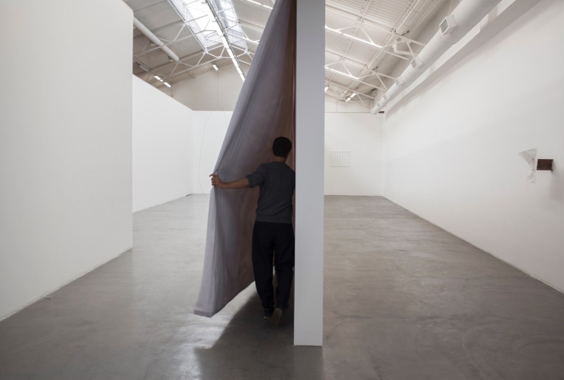 Eduardo Basualdo, Indivisible, 2016.