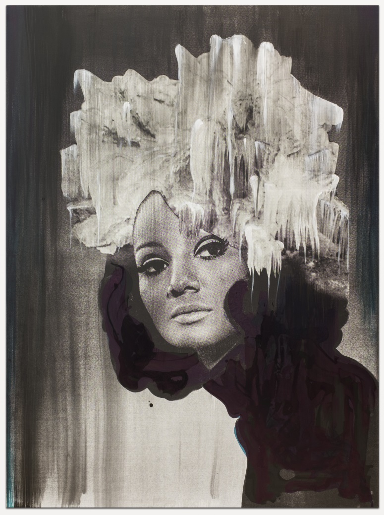 Lorna Simpson, Head on Ice #4, 2016.