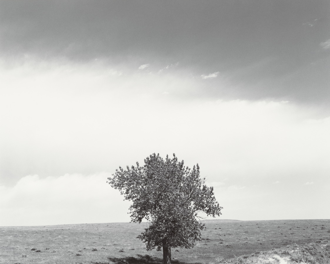 No. 555: Robert Adams – The Modern Art Notes Podcast