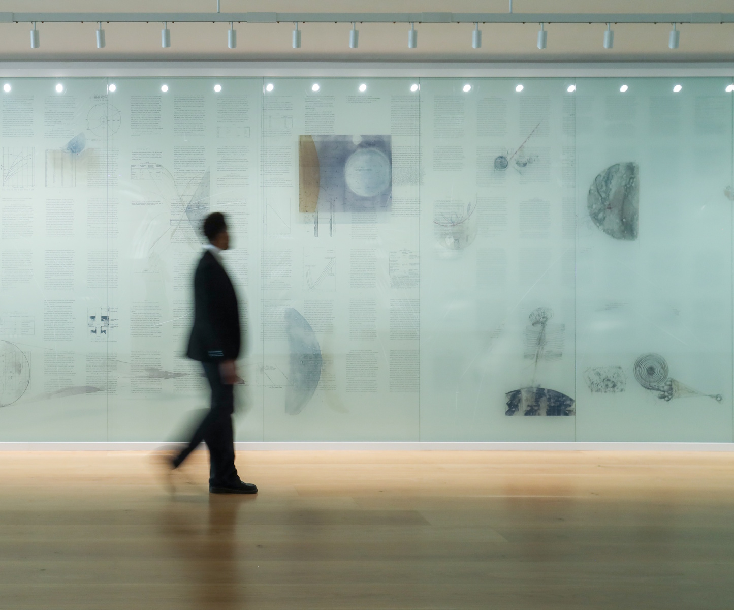 Installation view of "Wall Drawing: Jitish Kallat."